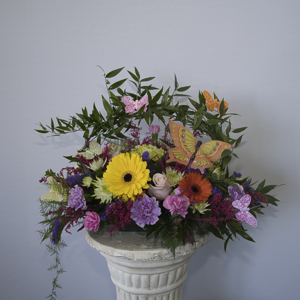 Orange, purple and yellow flowers