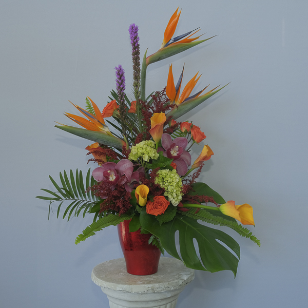 Orange Tropical Flowers