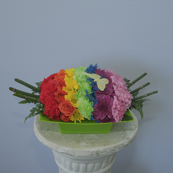 Rainbow plate flowers