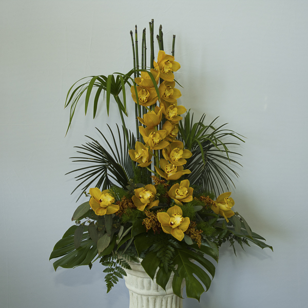 Yellow Tropical Flowers